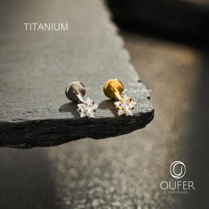 May include: Two titanium labret studs with star-shaped clear crystal tops. One stud is silver-toned and the other is gold-toned. Text indicates a 7mm length, 20g/0.8mm gauge, and 3mm star size. The word TITANIUM is printed in the upper left corner.