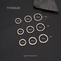 4G/6G/8G/10G/12G/14G Thick Titanium Hinged Segment Clicker/Septum Ring/Nose Ring/Cartilage Hoop/Ear Gauge Plugs ,Versatile/Durable Hoop