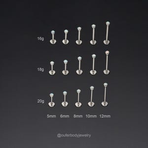 Op de afbeelding: Een selectie van opale neusringen in verschillende maten en diktes. De ringen zijn gemaakt van chirurgisch staal en hebben een heldere opaal edelsteen. De maten zijn 5 mm, 6 mm, 8 mm, 10 mm en 12 mm. De diktes zijn 16 g, 18 g en 20 g.