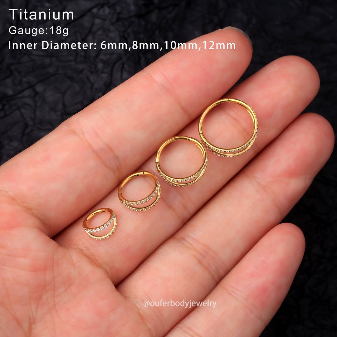 1pc G23 Titanium Hinged Segment Nose Ring/Surgical Steel Nose Ring Or Ear  Piercing Jewelry Small Hoop Earrings | SHEIN USA