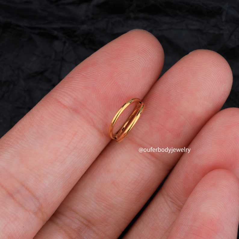 Anillo de tabique de doble aro de 18G, aro con bisagras, aro de trago, aro de daith, aro de hélice, aro de concha, pendiente de cartílago, regalo para ella, pendientes minimalistas imagen 3