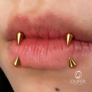 2PCS 16G Snake Bite Jewelry, Cone Lip Rings, Spike Lip Piercing, Horseshoe Nose Septum Piercing image 14