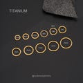 16G/18G/20G Gold Implant Grade Titanium Hinged Clicker,Nose,Cartilage,Helix,Daith,Tragus,Conch Piercings, Minimalist Hoop Earrings (5-13mm) product logo