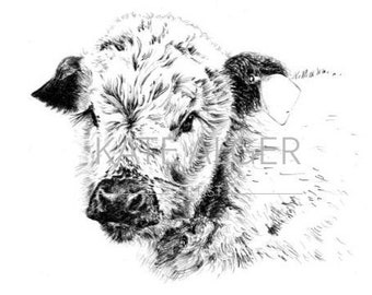 Kay le veau Anglais Longhorn carte de vœux vierge. Anniversaire anniversaire fiançailles vache de ferme nouveau bébé garçon fille neutre beaux-arts fête des mères