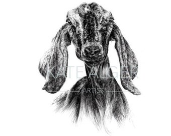 Bella la chèvre anglo-nubienne - carte de vœux vierge. Anniversaire nouvelle baby shower fine art noir blanc fête des mères