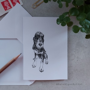 Sorry Polly scruffy dog greetings card. Blank inside. Sketch Griffon Vendéen vendeen hunting hound birthday anniversary hand-drawn pawtrait