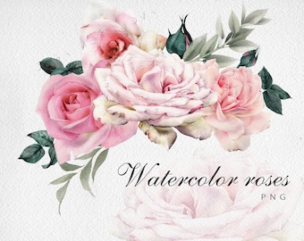 Watercolor flower clipart, Pink roses, Watercolor floral Clip Art PNG, Digital Instant Download