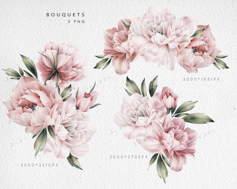 May include: Three watercolor illustrations of pink and green bouquets of peonies. The bouquets are arranged in a semi-circle shape. The text "BOUQUETS 3 PNG" is at the top of the image.