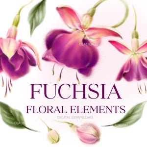 花のクリップアート、フクシアの花の要素 png、水彩花のクリップアート、葉、印刷可能な昇華デザイン、デジタル クリップアート PNG