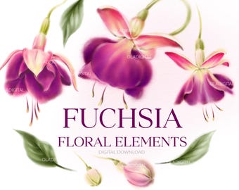 Floral clipart, Fuchsia floral elements png, Watercolor Flower Clipart, Foliage, Printable sublimation designs, Digital clipart PNG