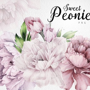 Aquarel pioenrozen clipart PNG, aquarel bloemen pack, digitale aquarel pioenrozen