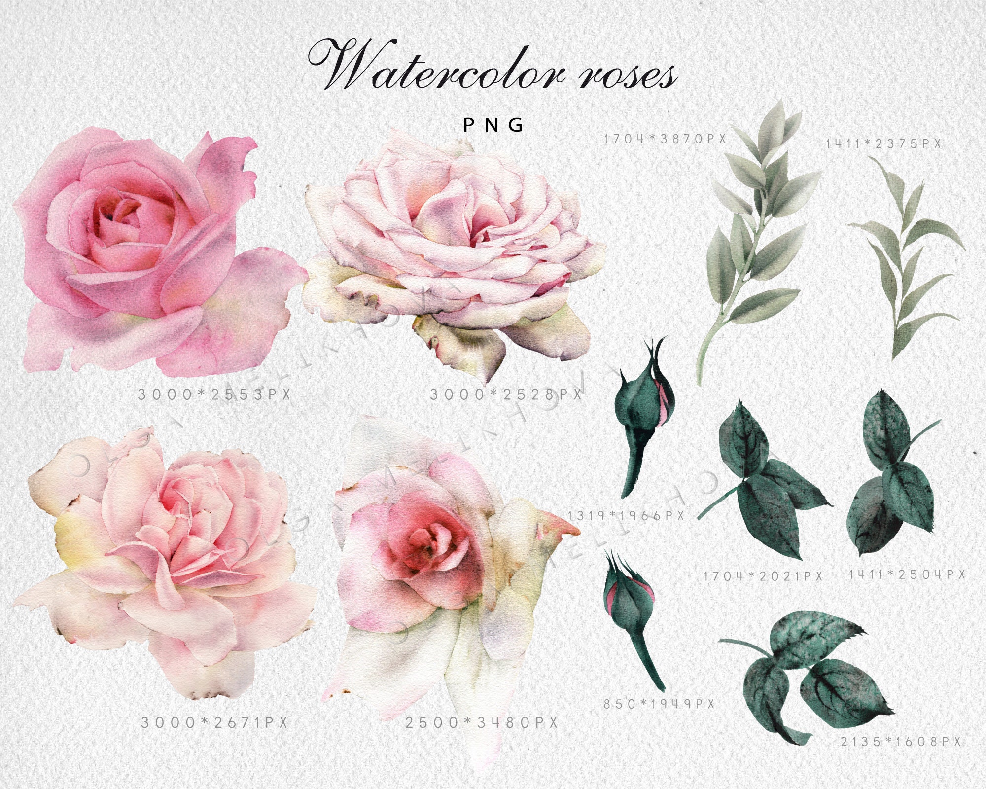 Watercolor Flower Clipart, Pink Roses, Watercolor Floral Clip Art PNG ...