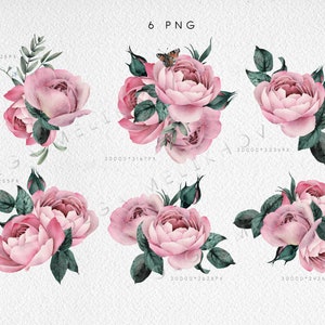 Pink Roses Watercolor Floral Clip Art PNG, Digital Instant Download - Etsy