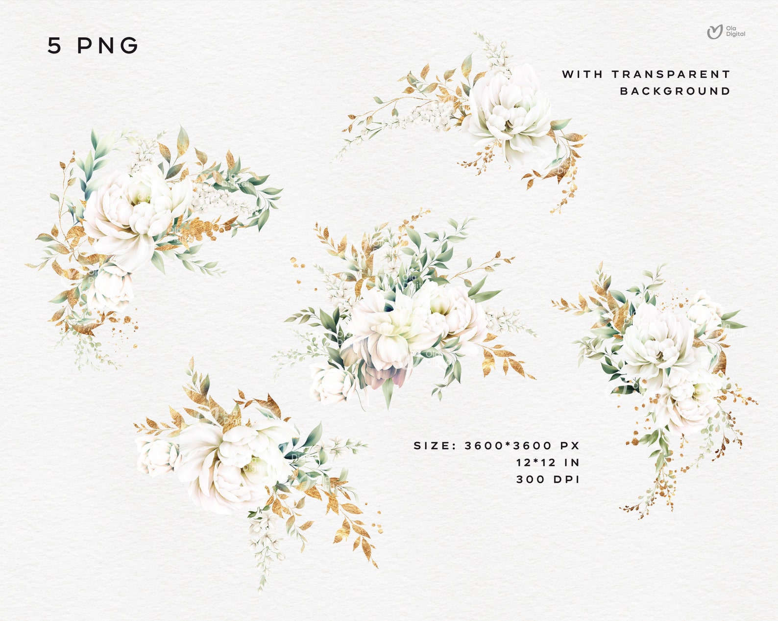 White Peonies Floral Clipart, Watercolor Flower, Peony Border Clipart ...