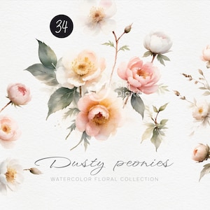 Staubige Pfingstrosen, Aquarell Blumen Clipart, Border-Rahmen, Hochzeitseinladungskarte, Blumensträuße, Digitale Blumen Clipart PNG, Digitale Clipart PNG