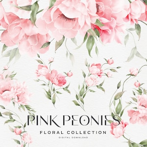 Clipart floral de pivoines roses, aquarelle de fleurs, bordure florale, des cliparts bouquets, des cliparts aquarelle, des cliparts floraux de mariage PNG