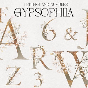 Aquarell Buchstaben und Zahlen, Gypsophila Blumenalphabet, Hochzeit Clipart PNG für Hochzeit