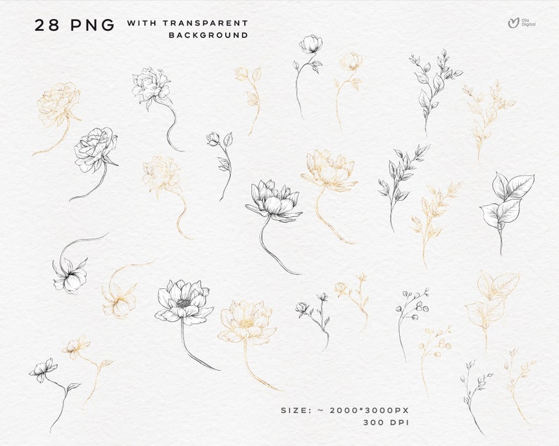 Peut inclure: Un ensemble de 28 illustrations florales dessin&eacute;es &agrave; la main en noir et or. Les illustrations pr&eacute;sentent diverses fleurs, feuilles et branches. Les illustrations sont parfaites pour ajouter une touche d'&eacute;l&eacute;gance &agrave; tout projet.