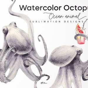 Watercolor octopus digital clipart, sublimate designs, clipart animal, Octopus PNG