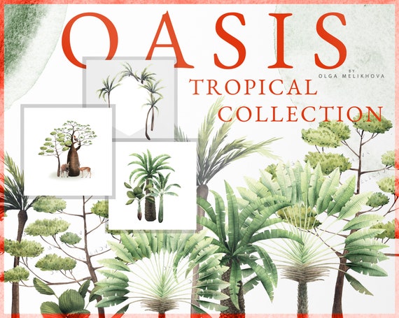Oasis Tropical - OnWine
