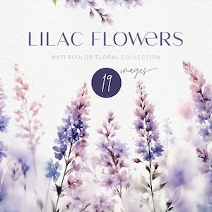 Clipart de flores lilás, lavanda aquarela, clipart floral, clipart aquarela PNG, clipart de bordas de casamento