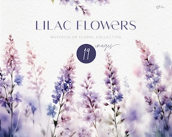 Lilac Flowers Clipart, Watercolor Lavender, Floral Clipart , Watercolor Clipart  PNG, Wedding borders Clipart
