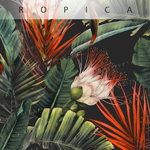 Seamless tropical pattern, Digital tropical paper, Digital download PNG