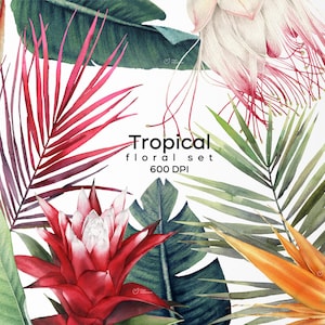 Tropisches Blumenset, Tropische Blumen, Aquarell Blumen Clipart, individuelle PNG, digitale tropische Pflanzen