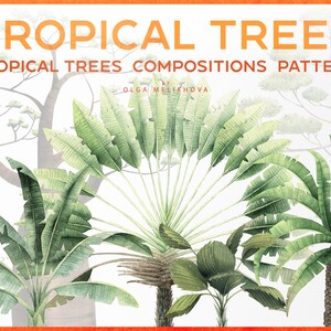 Tropical trees, watercolor clipart, hand painted, Scrapbooking paper, Digital paper PNG, Sublimation design