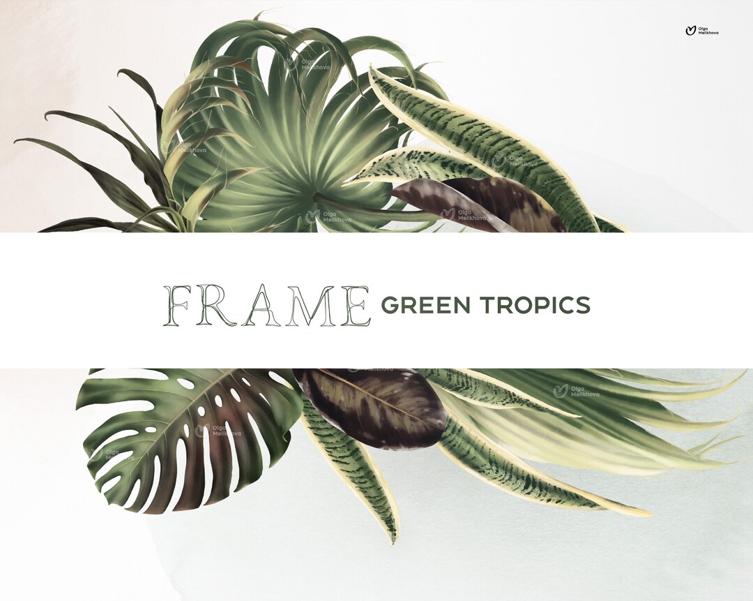 Floral Frame, Tropical Frame, Exotic Border Frame, Tropical Leaves