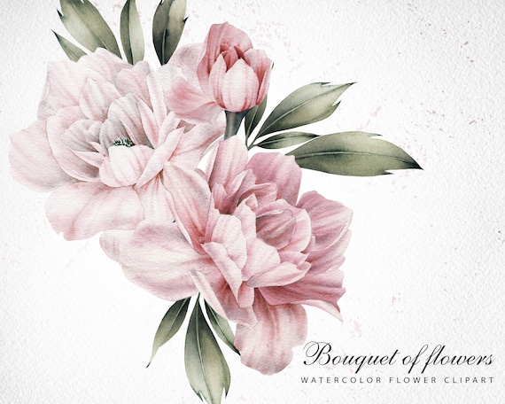 Pfingstrosen, Aquarell Blumen Clipart, Pfingstrose Bouquet PNG, digitaler Sofort Download floral Clip Art
