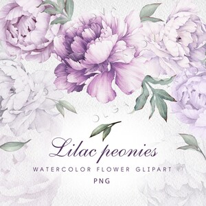 Peonie lilla Acquerello fiore clipart PNG, Download istantaneo digitale acquerello floreale brillante