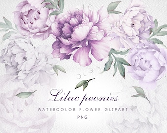 Lilac peonies Watercolor flower clipart PNG, Bright Floral Watercolour Digital Instant Download