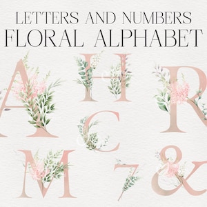 Letras y números, alfabeto floral, clipart de boda alfabeto rosa PNG