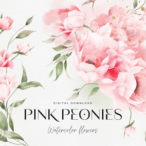 Rosa Pfingstrosen Blumen Clipart, Aquarell Blumen, Pfingstrosen Clipart, Floral Clipart, Aquarell Clipart, Hochzeit Blumen Clipart PNG