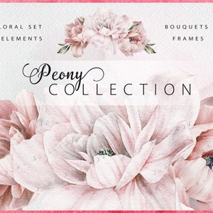 Peonie, Pacchetto floreale acquerello, Carta digitale, PNG clipart floreale, Download istantaneo