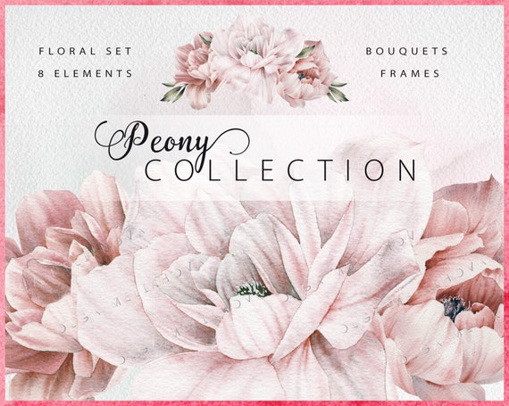 Peonies, Watercolor floral pack, Digital paper, Floral clipart PNG, Instant download