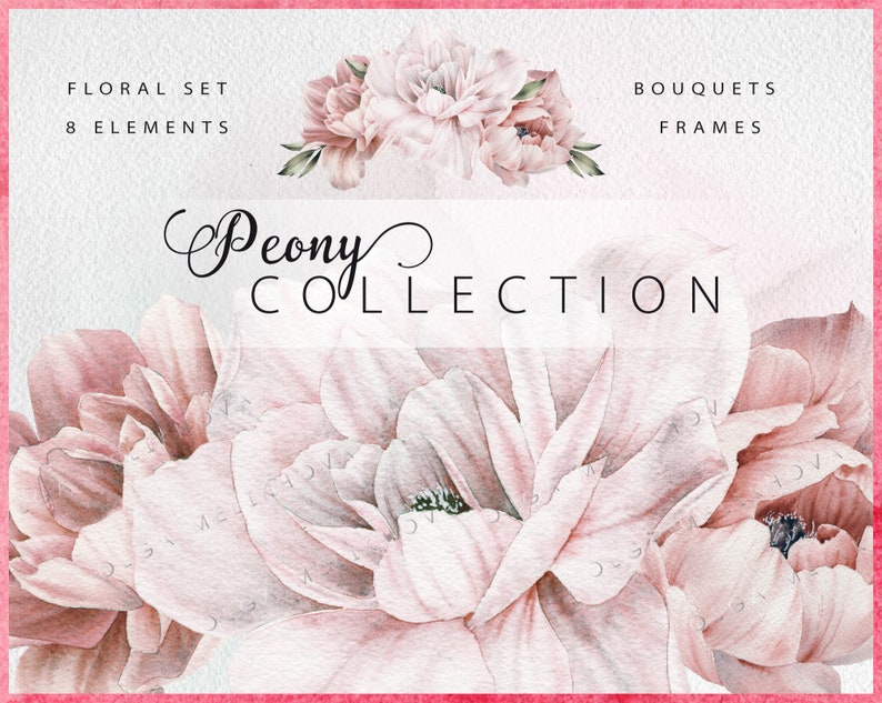 May include: A watercolor illustration of pink peonies. The image is part of a collection of floral elements, bouquets, and frames. The text "Peony Collection" is written in a decorative script font.