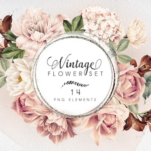 Aquarell Pfingstrosen Clipart, Vintage Blumen PNG, Floral Aquarell Digital Instant Download