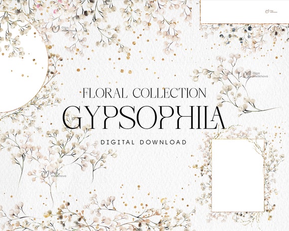 Gypsophilia, floral bundle, Border-frames, Wedding invite card, Bouguets, Digital floral clipart PNG, Digital clipart PNG
