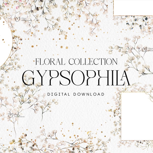 Gypsophilie, bouquet floral, Border-frames, Wedding invitation card, Bouguets, Digital floral clipart PNG, Digital clipart PNG