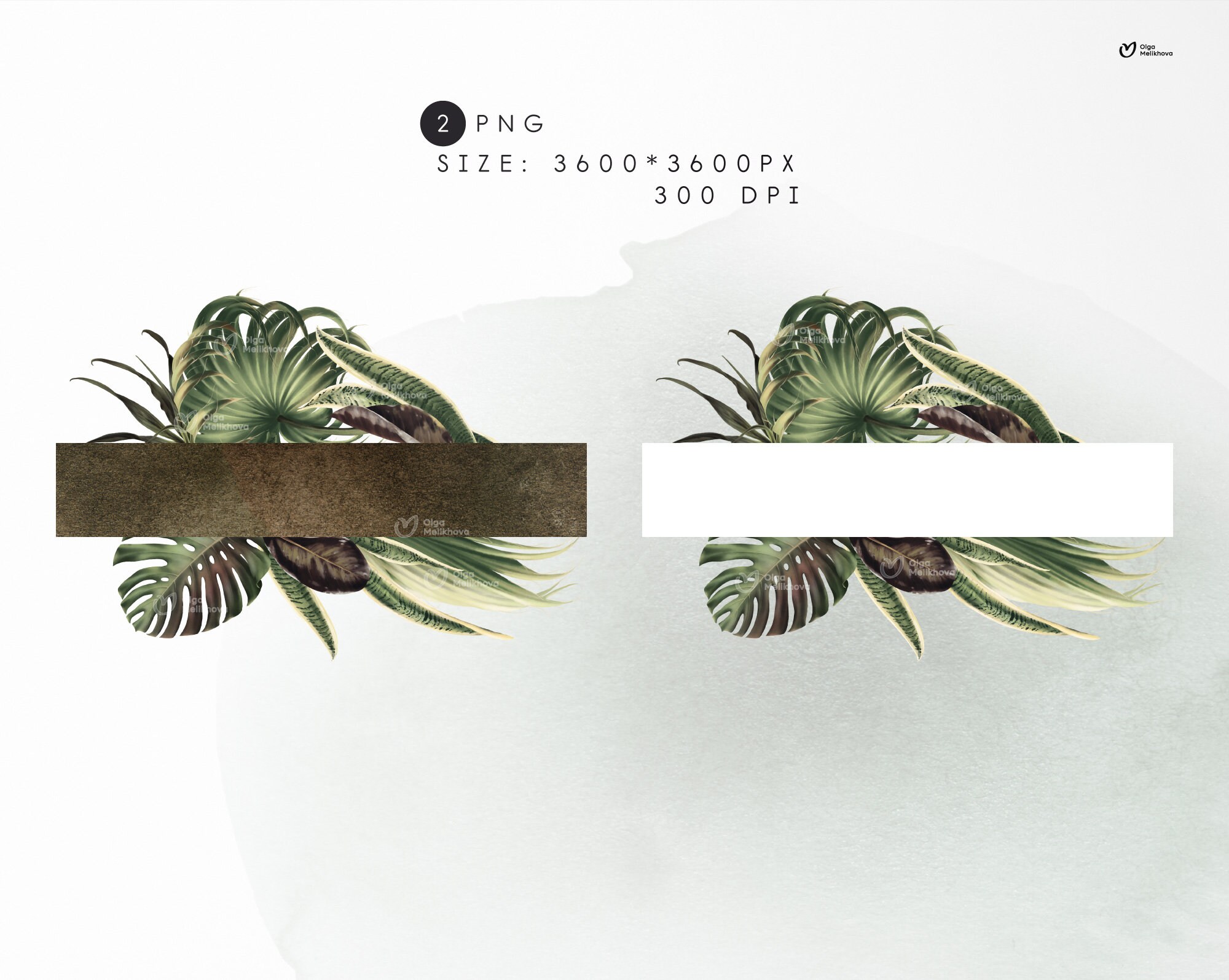 Floral Frame, Tropical Frame, Exotic Border Frame, Tropical Leaves