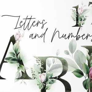 Letras y números / Alfabeto floral de acuarela / Clipart de boda PNG