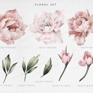 May include: A set of watercolor illustrations featuring pink peonies and green leaves. The illustrations are perfect for adding a touch of elegance to any project.