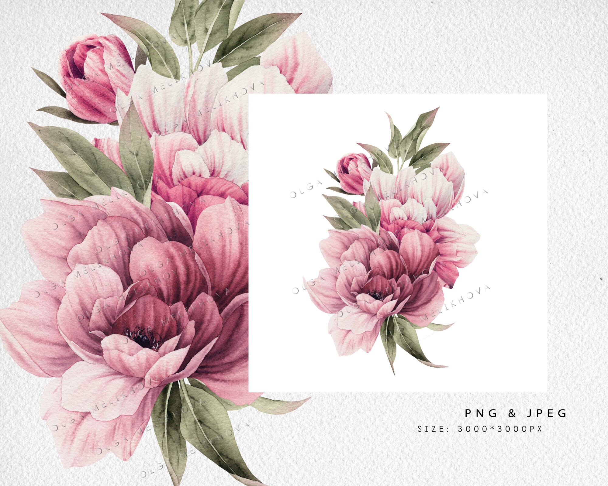 Watercolor Bouquet of Peonies, Watercolor Peony Bouquet Clip Art ...