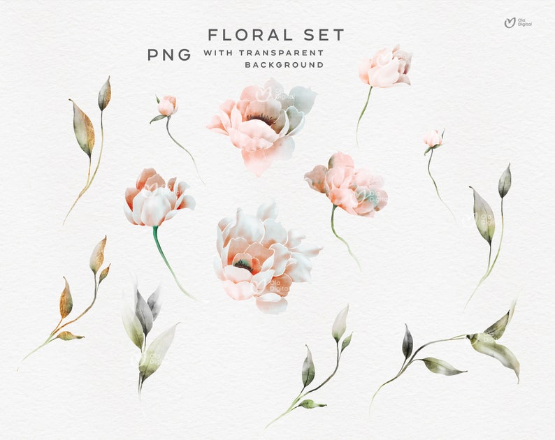 Boho Peonies Floral Clipart, Watercolor Flowers, Peonies Clipart ...