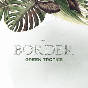 Tropical border, Exotic Foliage Border, tROPICAL leaves, Wedding invite card, Digital floral clipart PNG, Digital download