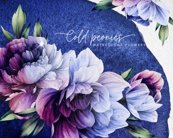 Cold peonies, Watercolor floral pack, PNG clipart, Digital floral set
