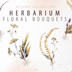 Aquarelle automne bouquets de feuilles, herbier clipart invitation de mariage floral clipart png, papier numérique, boho clipart, téléchargement numérique