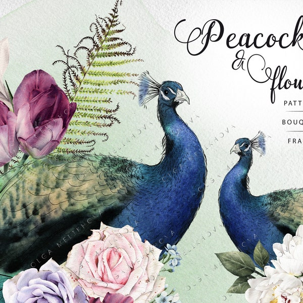 Peacock & flowers, Watercolor flower cliparts PNG, Seamless Patterns, Scrapbooking Paper